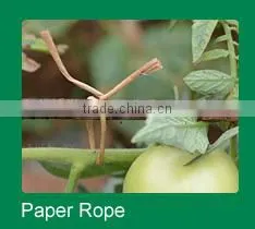 Wholeslae transparent double wire plastic twist tie clip
