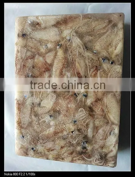 chinese frozen squid