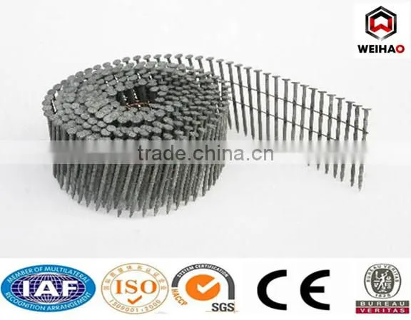 galvanized wire coil nails iron nail steel nail roofing nail