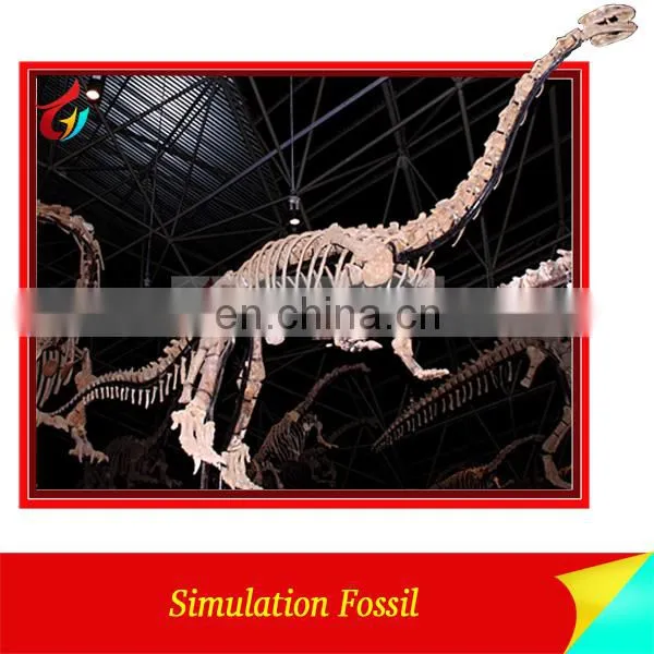 Hand made life size skeleton dinosaur fossil