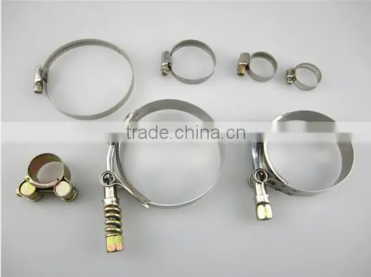304SS T clamps and 304SS silicone hose clamp