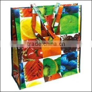 Promotional Creative Foldable Reusable Shopping Bag
