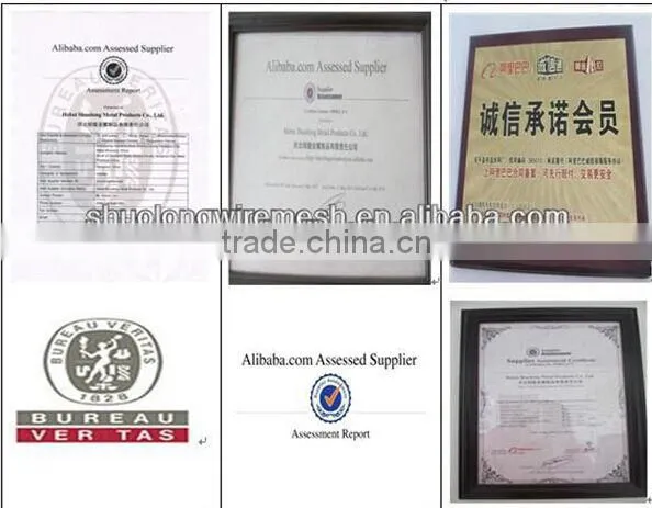 Stone/Rock Fall Protection Metal Wire Mesh(BV certification)