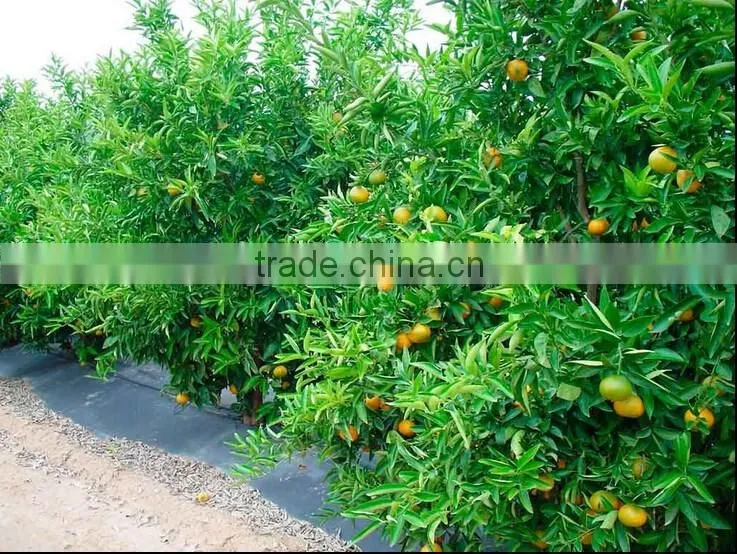 China top leading woven fabric factory 100% virgin material with uv additive for anti grass control fabric tarpaulin weed mat