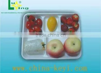 disposable food tray(made with 100% bagasse)