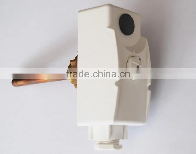 Immersion thermostat