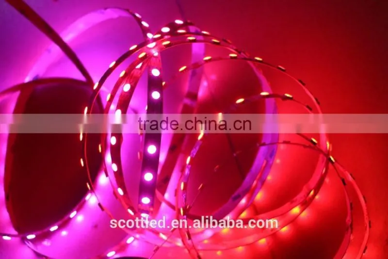 New Tape 5050 60led WS2813 led pixel light strip non- wterproof 60pcs with 60pixels