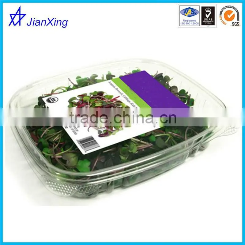 fruit and vegetable disposable plastic PET tray with lid