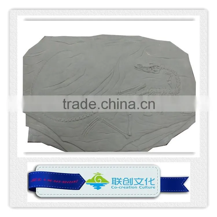 Dinosaur fossil replica for dinosaur museum educational sample
