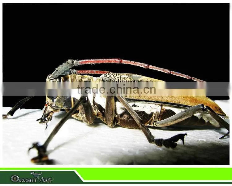 Indoor playground animatronic animal insects