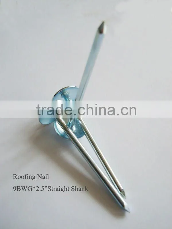 galvanized umbrella head nails