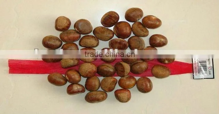 new havest fresh chestnut import from China