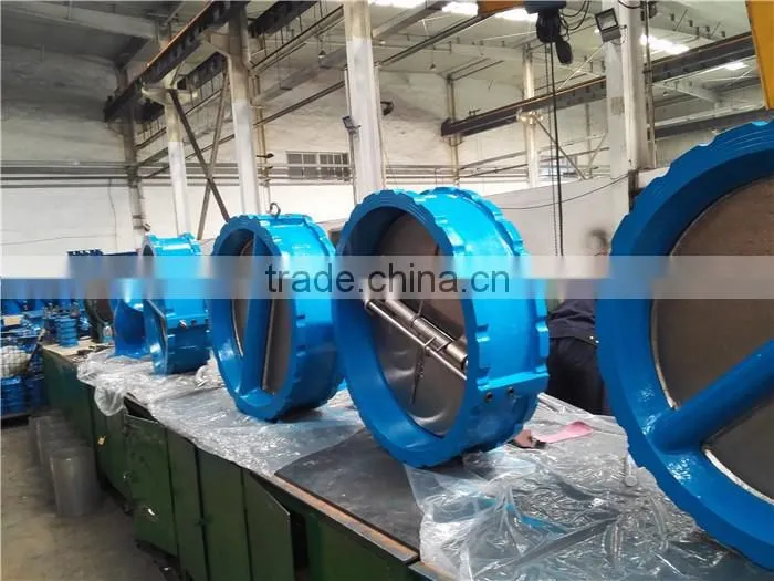 Dual Plate Check Valve with Stainless Steel Disc