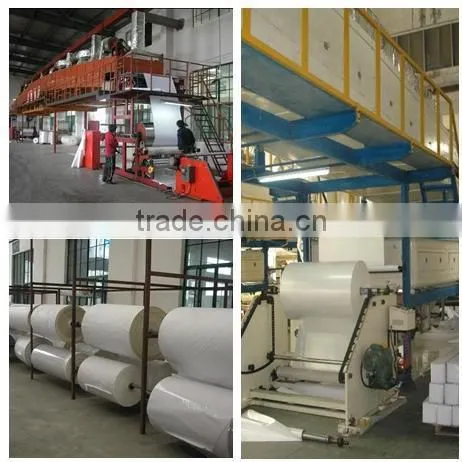 Eco-solvent pp matt paper Self Adhesive PP Paper Matt