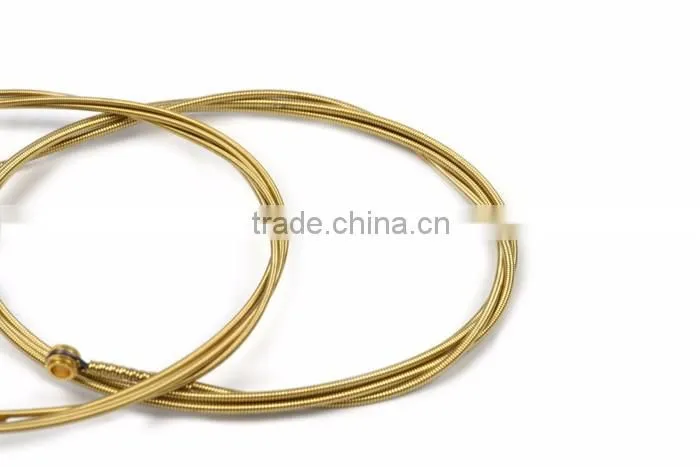 Wholesale ballad folk guitar strings for beginning student free sample
