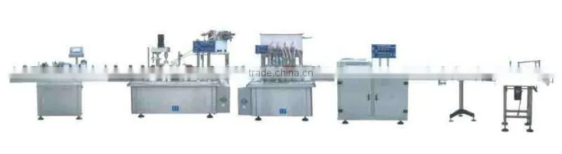 Automatic bottle strawberry filling line
