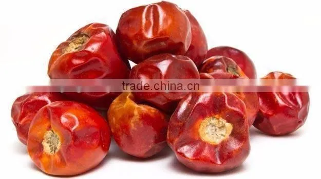 Premium Quality Indian Dry Red Chilli Exporters