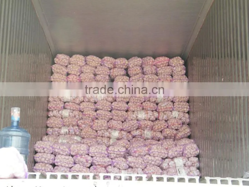 Low Price Buy Chinese Garlic