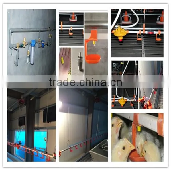 Agricultural Automatic Poultry Farm Machinery Equipment For Raising Broiler Chicken Birds
