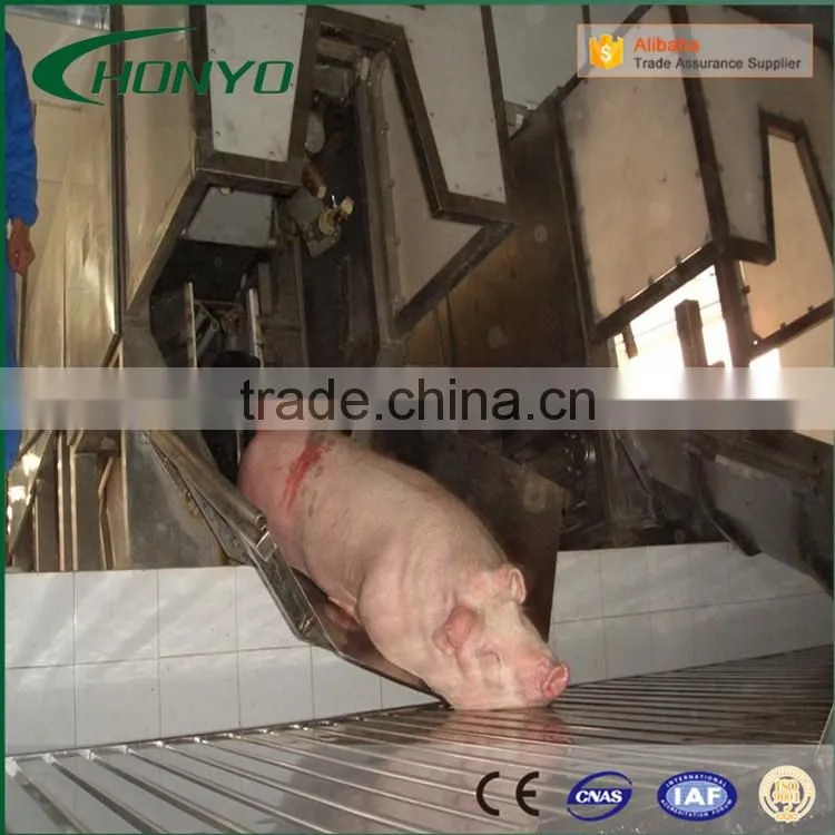 Hight quality pig slaughter equipment line pig slaughter machine abattoir equipment Butcher equipment for pig