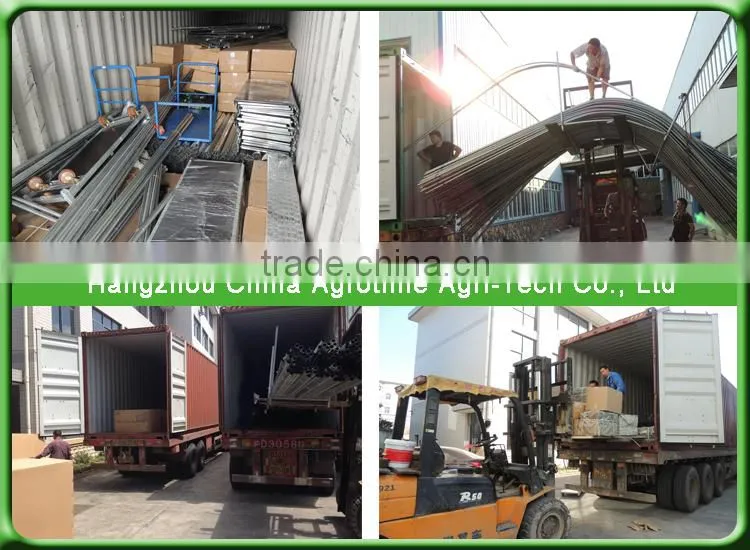 Venlo Greenhouse PC Sheet glass covering hot sale greenhouse/glass greenhouse