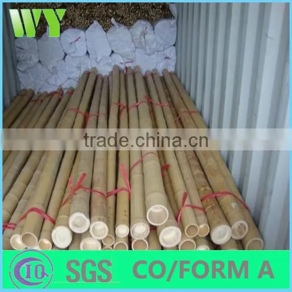 WY-221High quality bamboo poles bamboo canes bamboo stakes in raw materials for agriculture