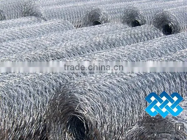 Galvanized chicken wire netting