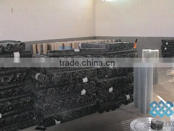 pvc coated/galvanized hexagonal wire mesh