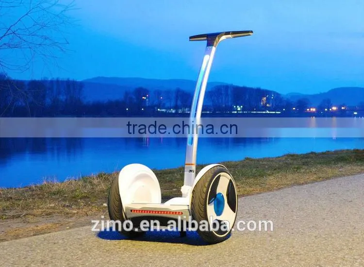 China electric chariot