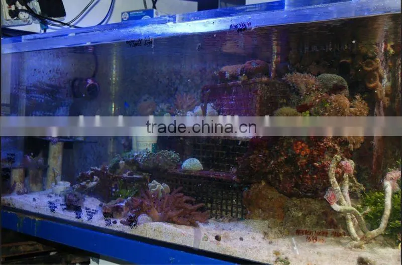 15000K dimmable aquarium LED