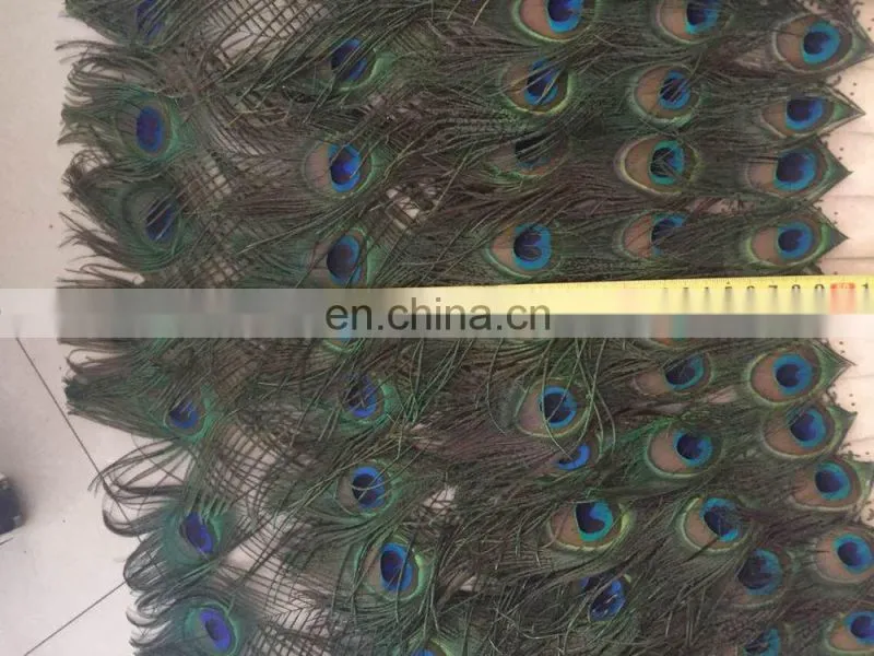 220cm large decorative natural peacock feather fan for party