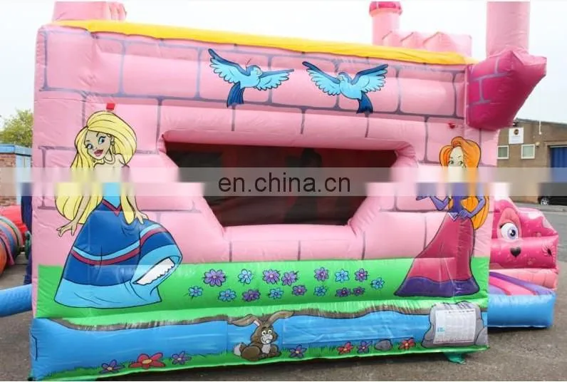 Themed Princess Inflatable Combo/Pink Combo
