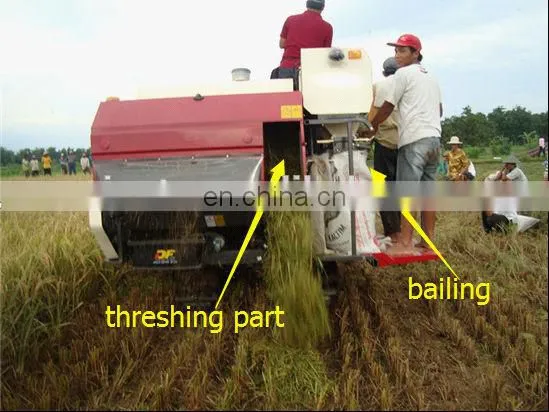 Factory price mini rice paddy cutting machine / rice harvest machine / price of rice harvester