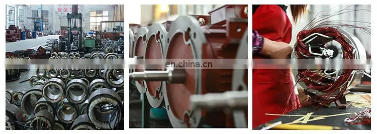 Hot selling 11kw 2930 rpm YE2 160M1-2 three phase electric ac water pump motor of China Supplier