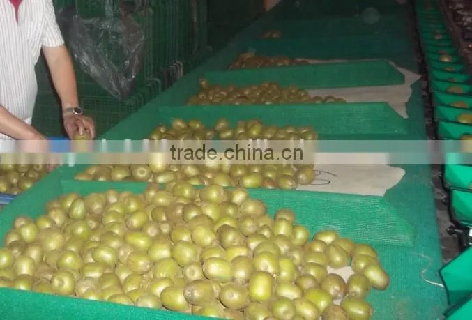 commercial orange grading machine/lemon sorting machine/kiwi sorter machine