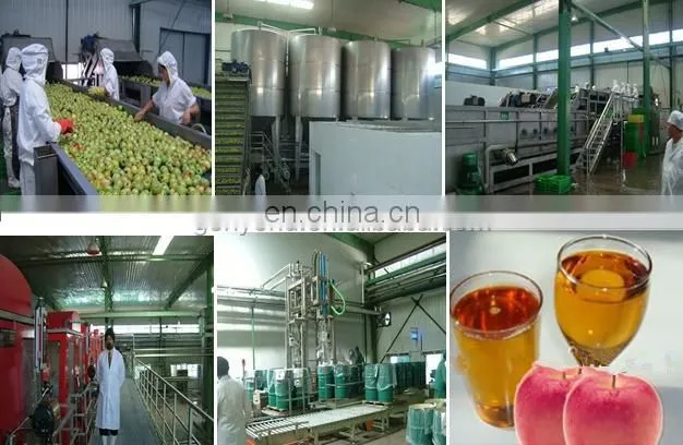 concentrated fruit juice/ apple juice making equipment / fruit juice production line