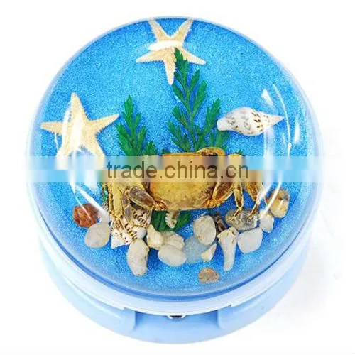 Souvenir gifts starfish resin paper stapler corporate gift
