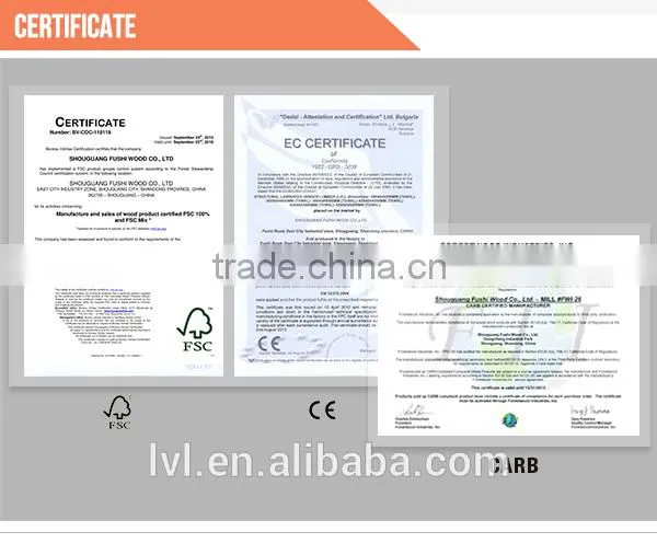 3.6mm bingtangor plywood timber for furniture