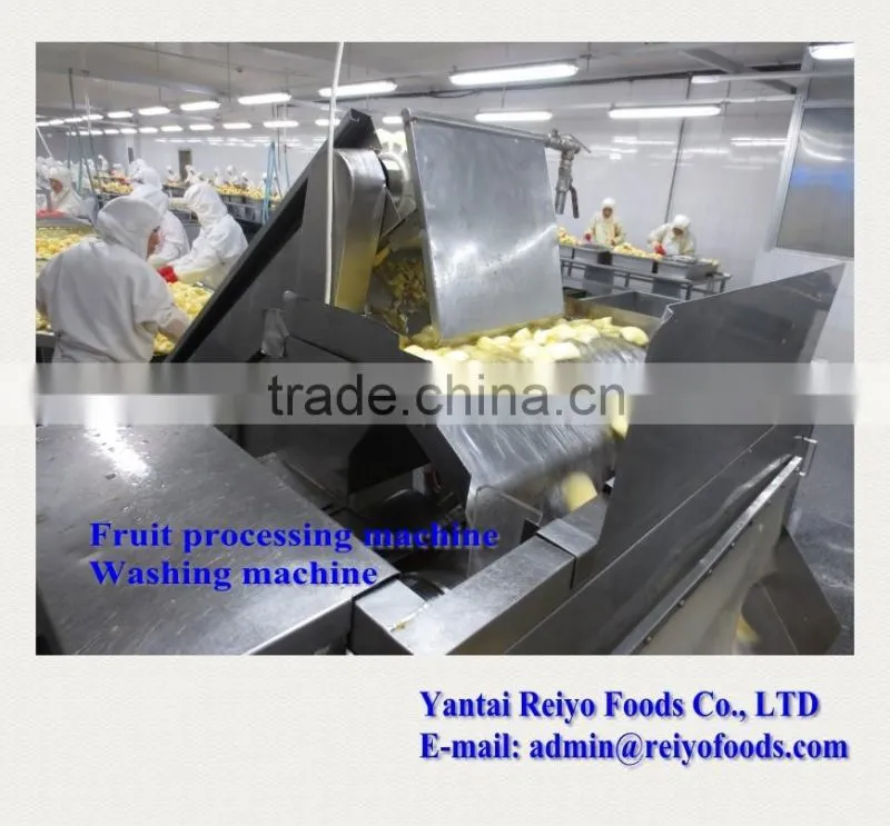 impurity removing and cleaning machine / fruits and vegetables cleaning machine