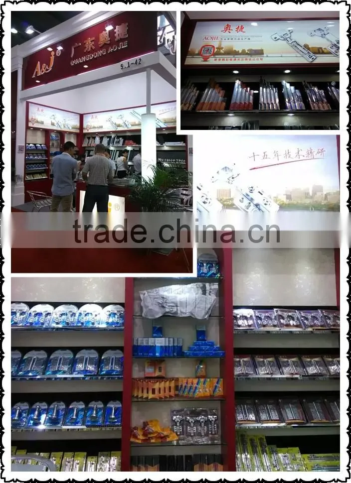 Construction Hardware Stainless Steel Hinge door hinge Italy invisible door hinge adjustable