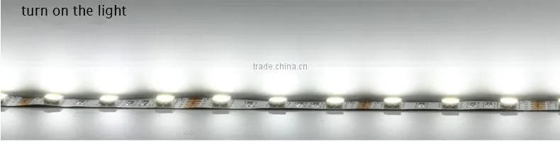 festalight UL CE RoHS certified SMD5050 chips warm white RGB flexible led strip light 220V 60 led per meter DC12V SMD3528