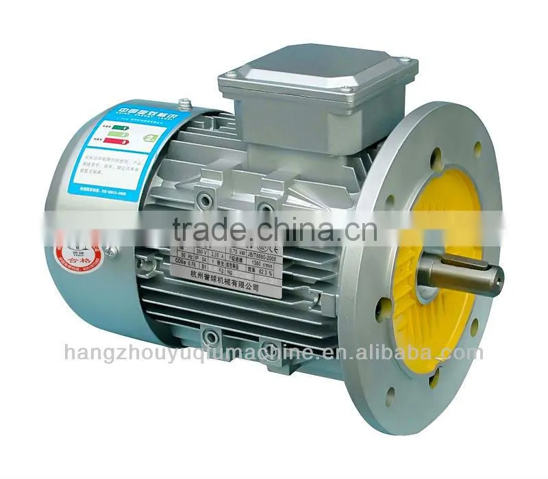 IE2 High Efficiency Three Phase Electric Motor