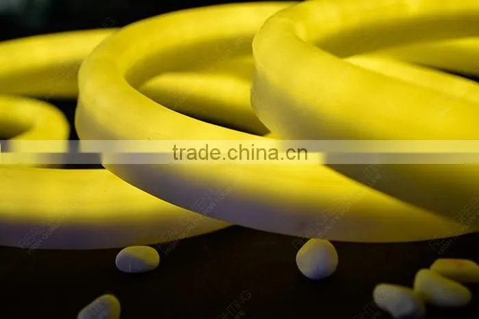 220V LED Neon Flex Rope Light