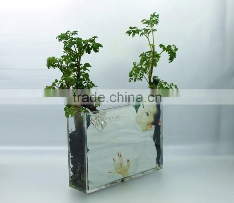 beautiful desktop clear acrylic square vases,acrylic vase with photo frame manufacturer