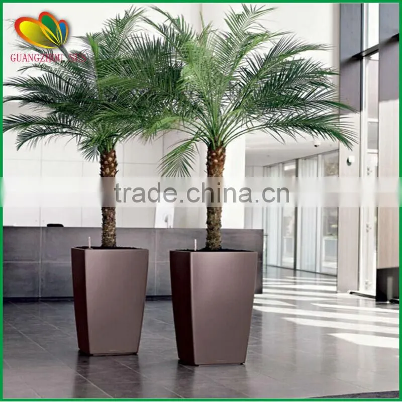 outdoor and indoor decorative artificial coconut palm tree
