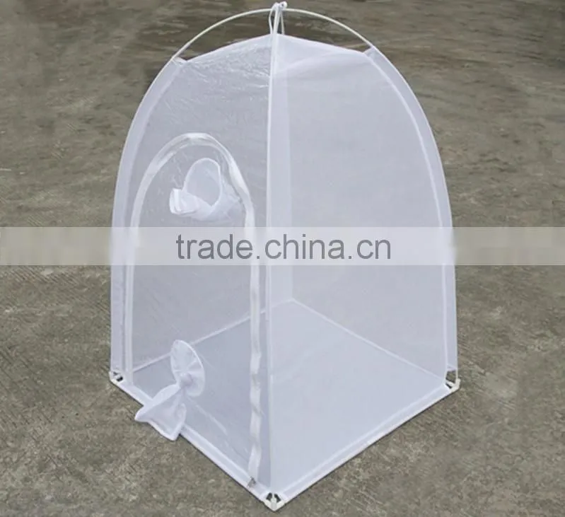 Portable mini mesh insect house