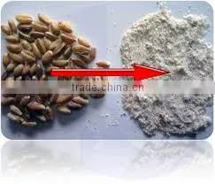 high protein wheat flour production line / high protein wheat flour mill stone