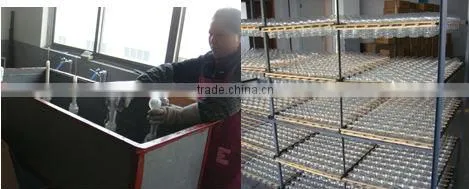 Meps/ Erp halogen saver /halogen lamp G4 lamp