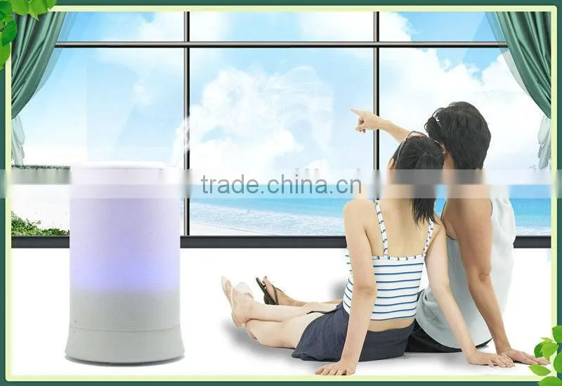 100ml Home Ultrasonic aromatherapy diffuser oil BK-EG-FD03