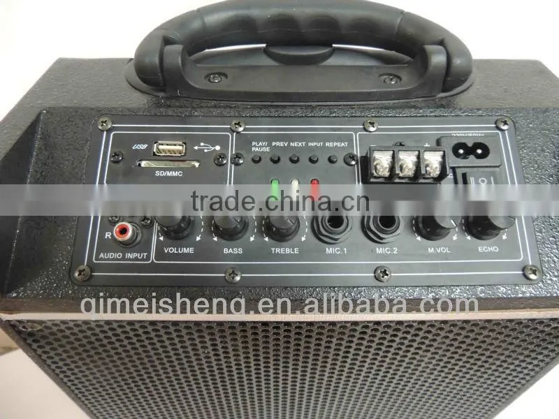 Double 6" subwoofer portable speaker with USB/SD/FM/Wireless Mic/Guitar input/Remote control